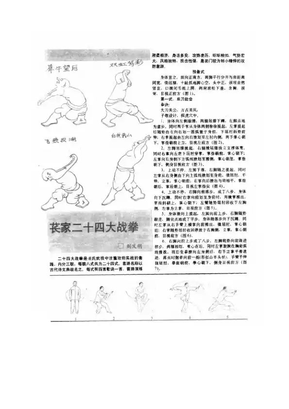 《苌家二十四大战拳》刘义明