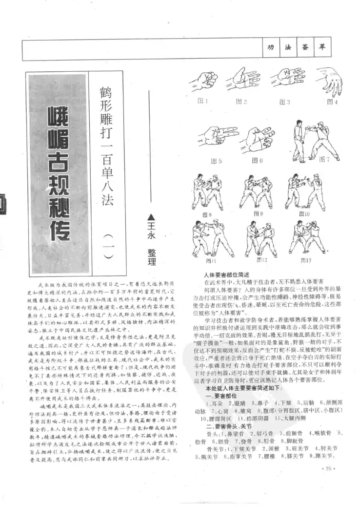 《峨嵋古规秘传：鹤形凋打一百单八法》王永文