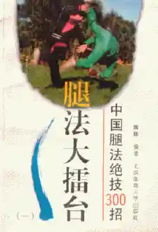 《腿法大擂台：中国腿法绝技300招（一）》魏峰